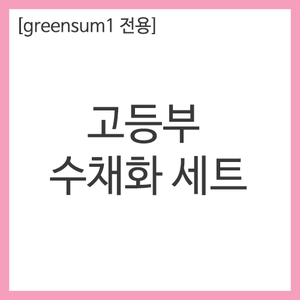 화방넷[greensum1 전용] 고등부 수채화 세트 [개인결제창]