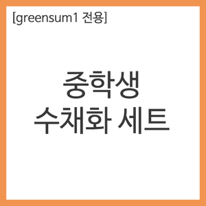 화방넷[greensum1 전용] 중학생 수채화 세트 [개인결제창]